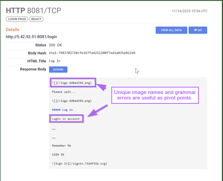 Identifying Simple Pivot Points in Malware Infrastructure - RisePro Stealer